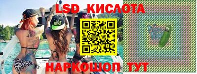 гашик Будённовск