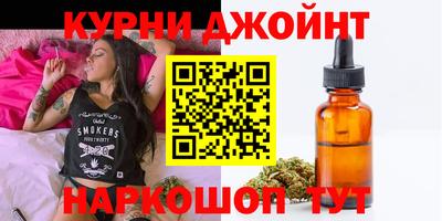 гашик Будённовск