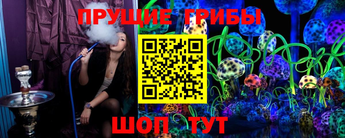 Галлюциногенные грибы Cubensis  Вход с VPN  как найти наркотики  Заинск 